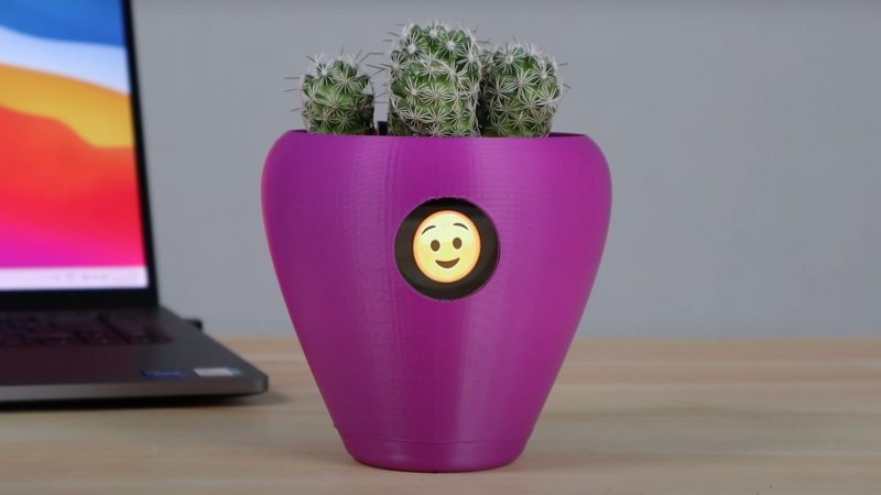 Fytó pet plant